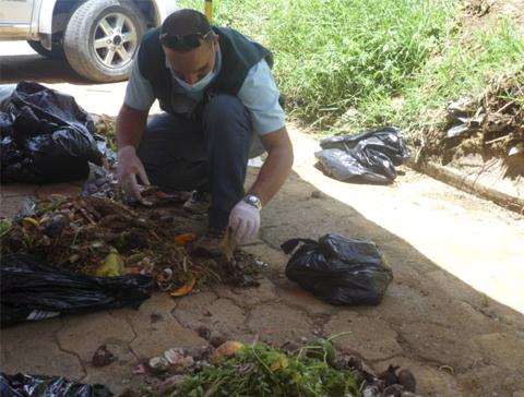 Título de la imagen 3